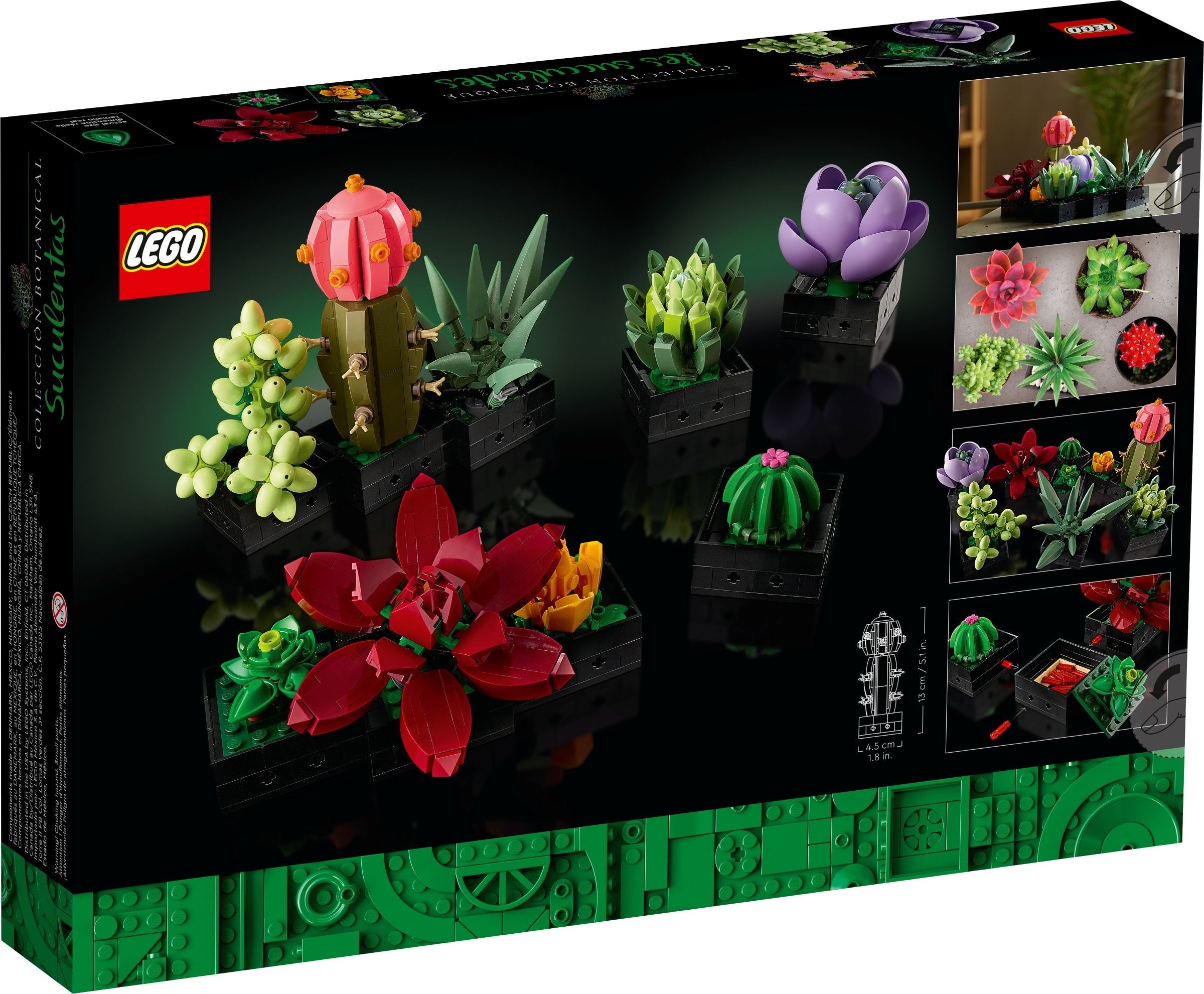 10309-1 - Succulents
