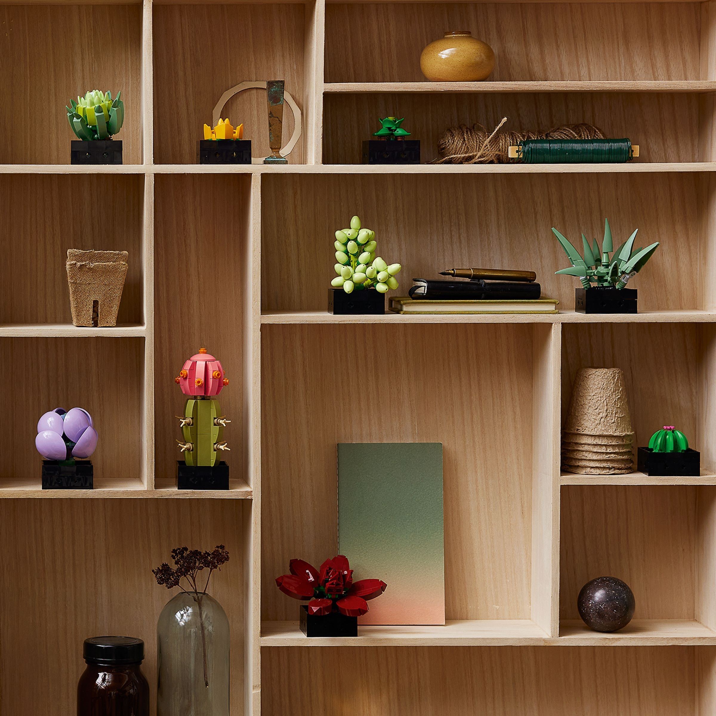 10309-1 - Succulents