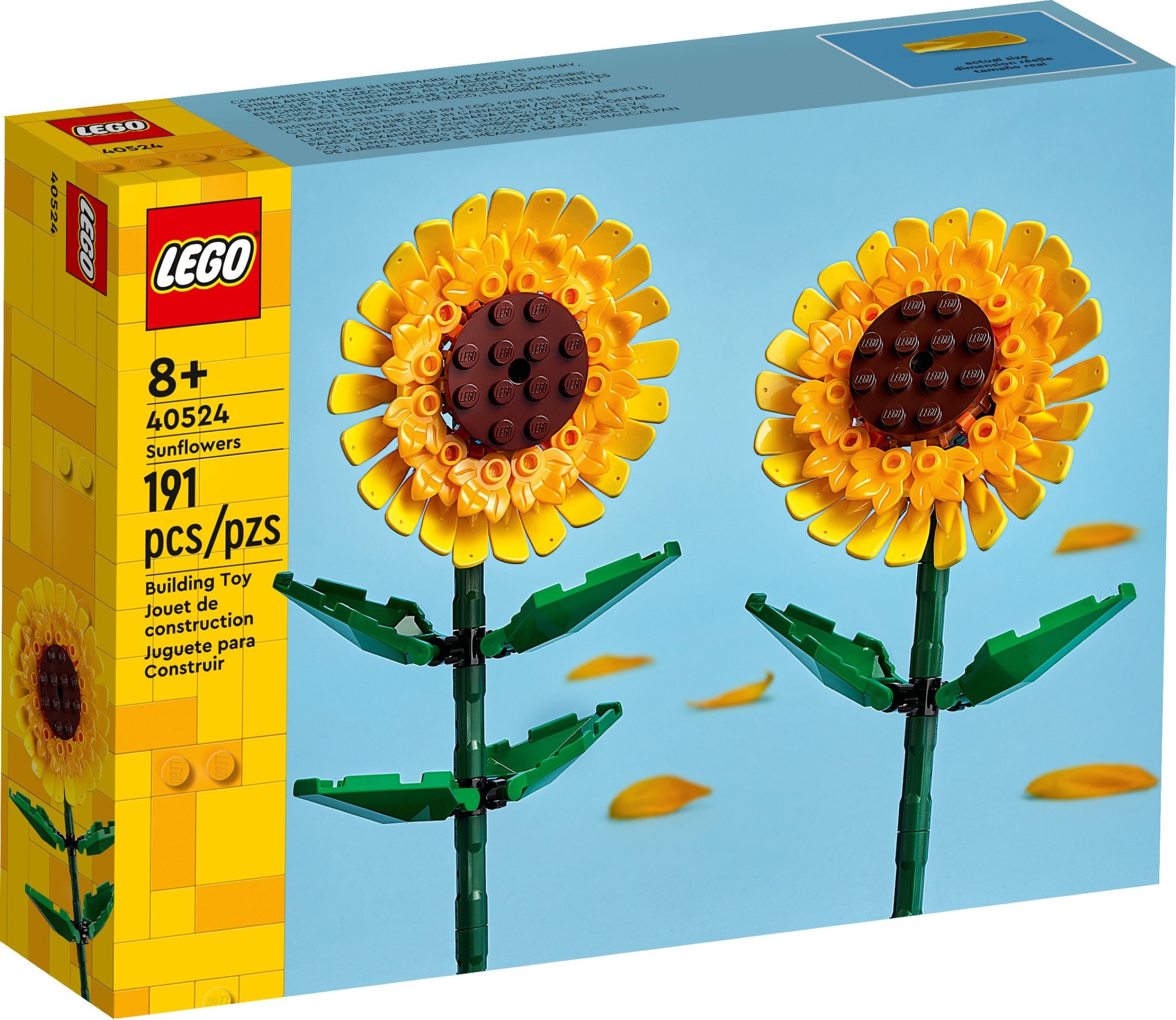 40524-1 - Sunflowers