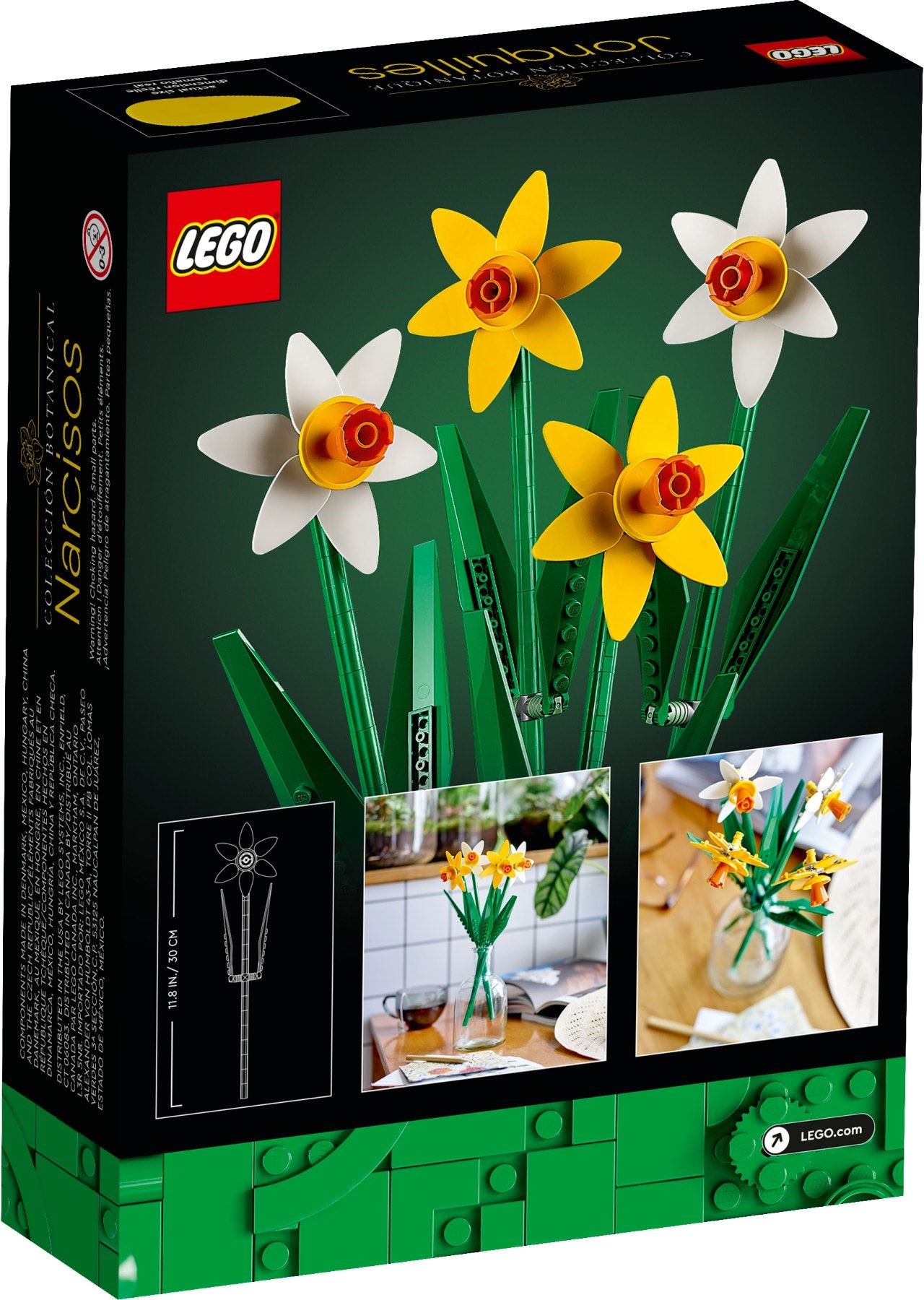 40646-1 - Daffodils