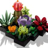 Additional photo of brand new factory sealed LEGO Icons Succulents set 10309.