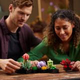 Additional photo of brand new factory sealed LEGO Icons Succulents set 10309.