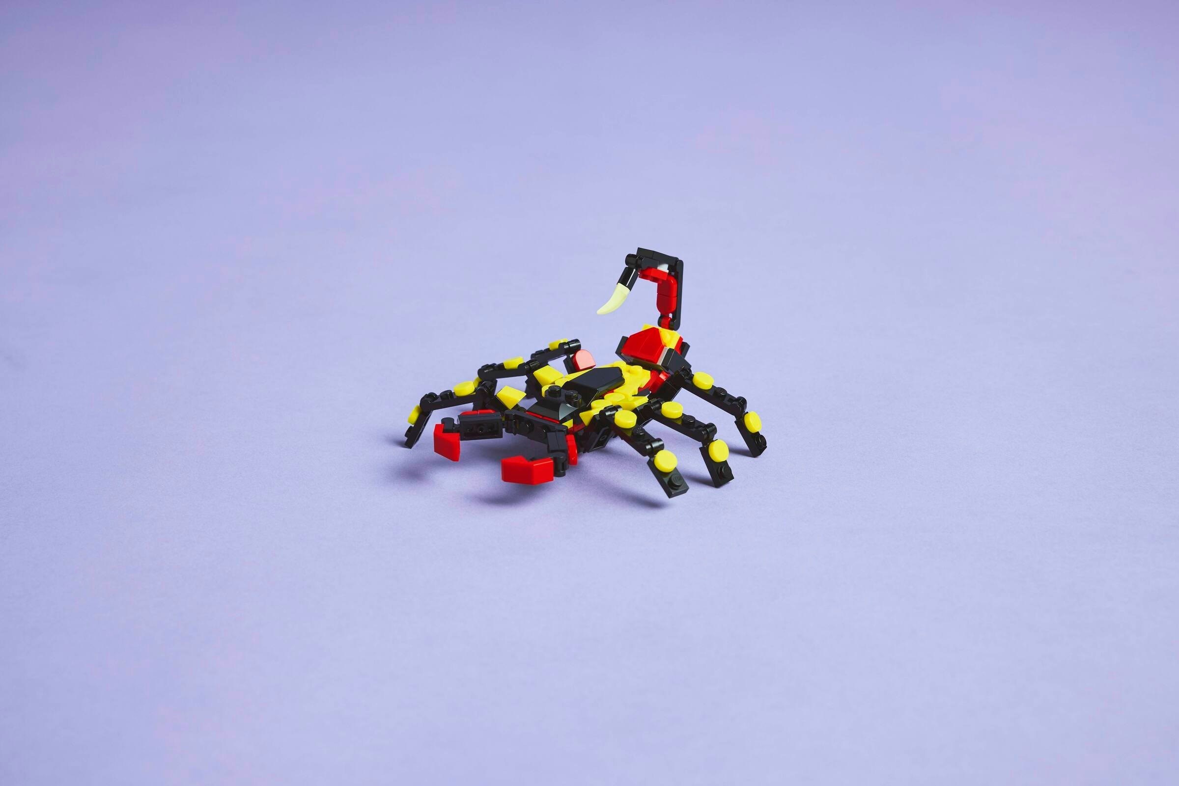 31159-1 - Surprising Spider