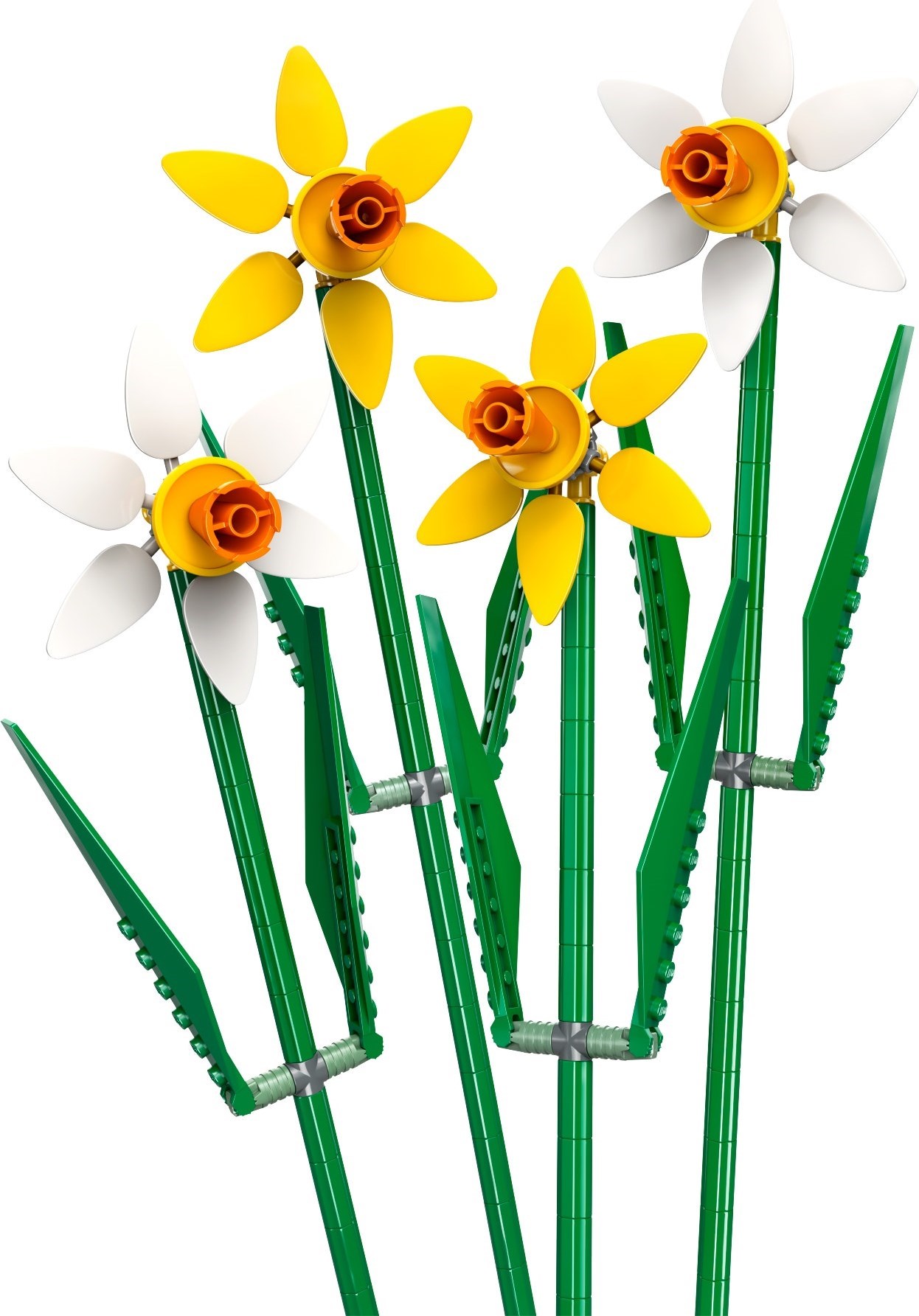 40747-1 - Daffodils