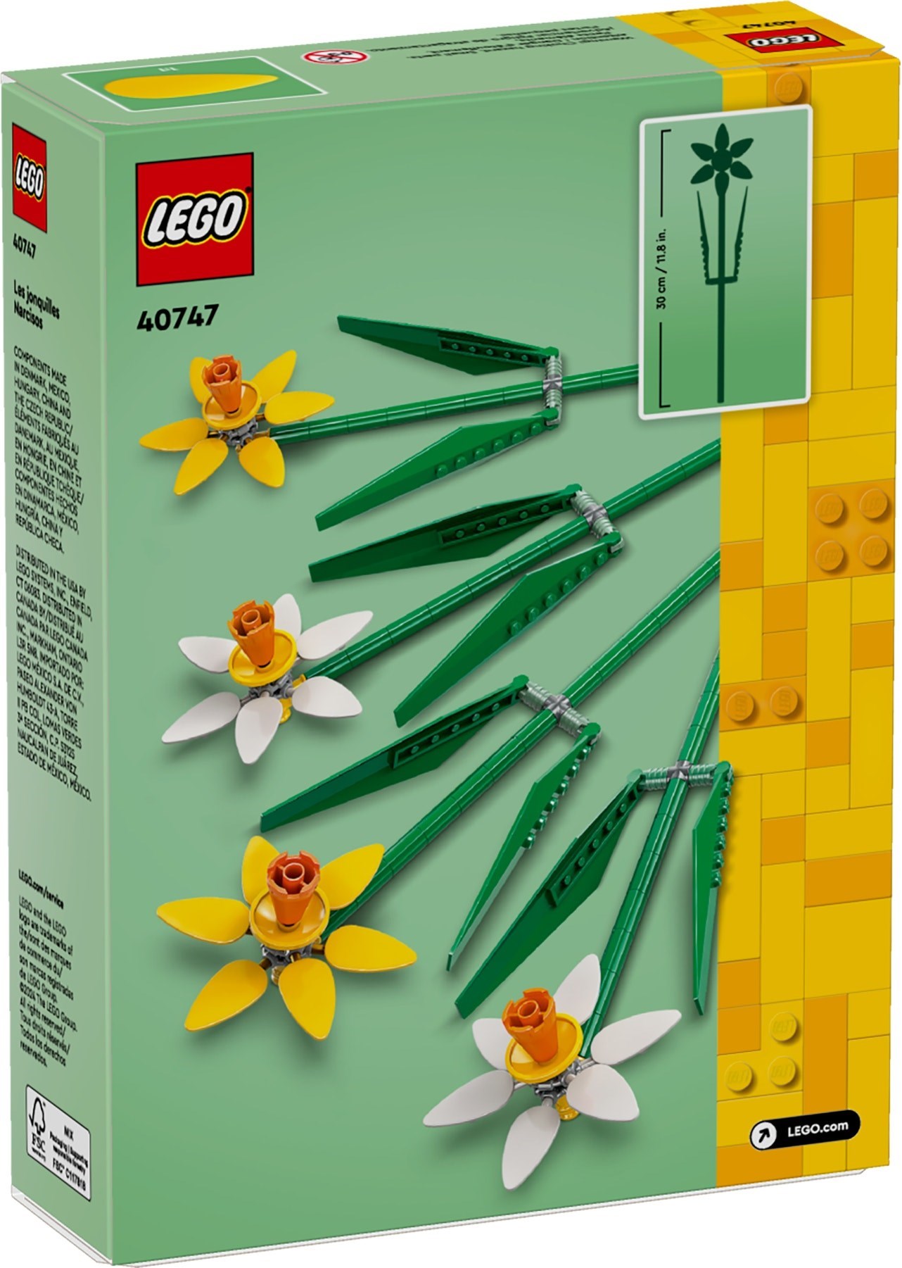 40747-1 - Daffodils