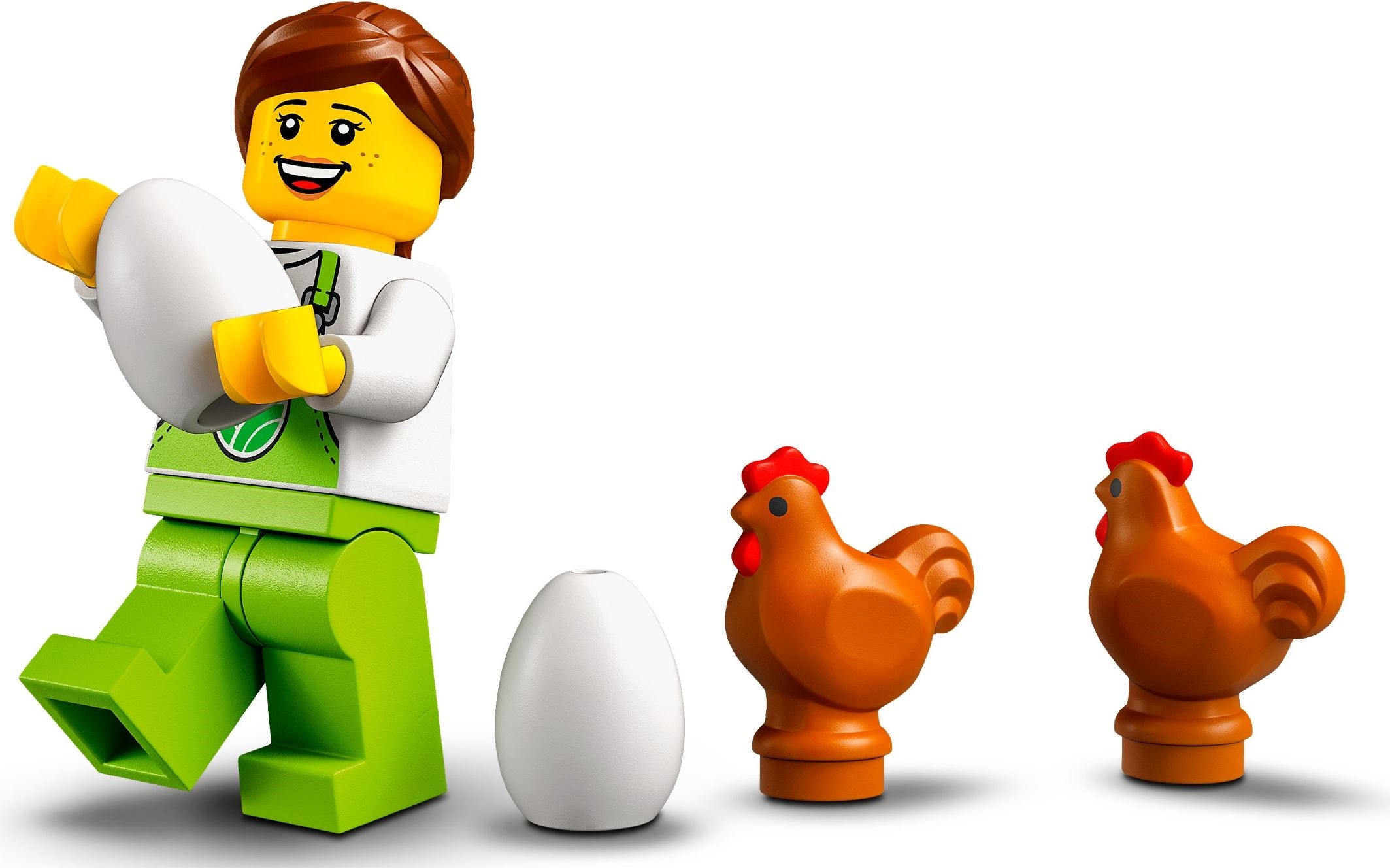 60344-1 - Chicken Henhouse