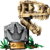 Brand new factory sealed LEGO Jurassic World Dinosaur Fossils: T. rex Skull set 76964 original box front view.