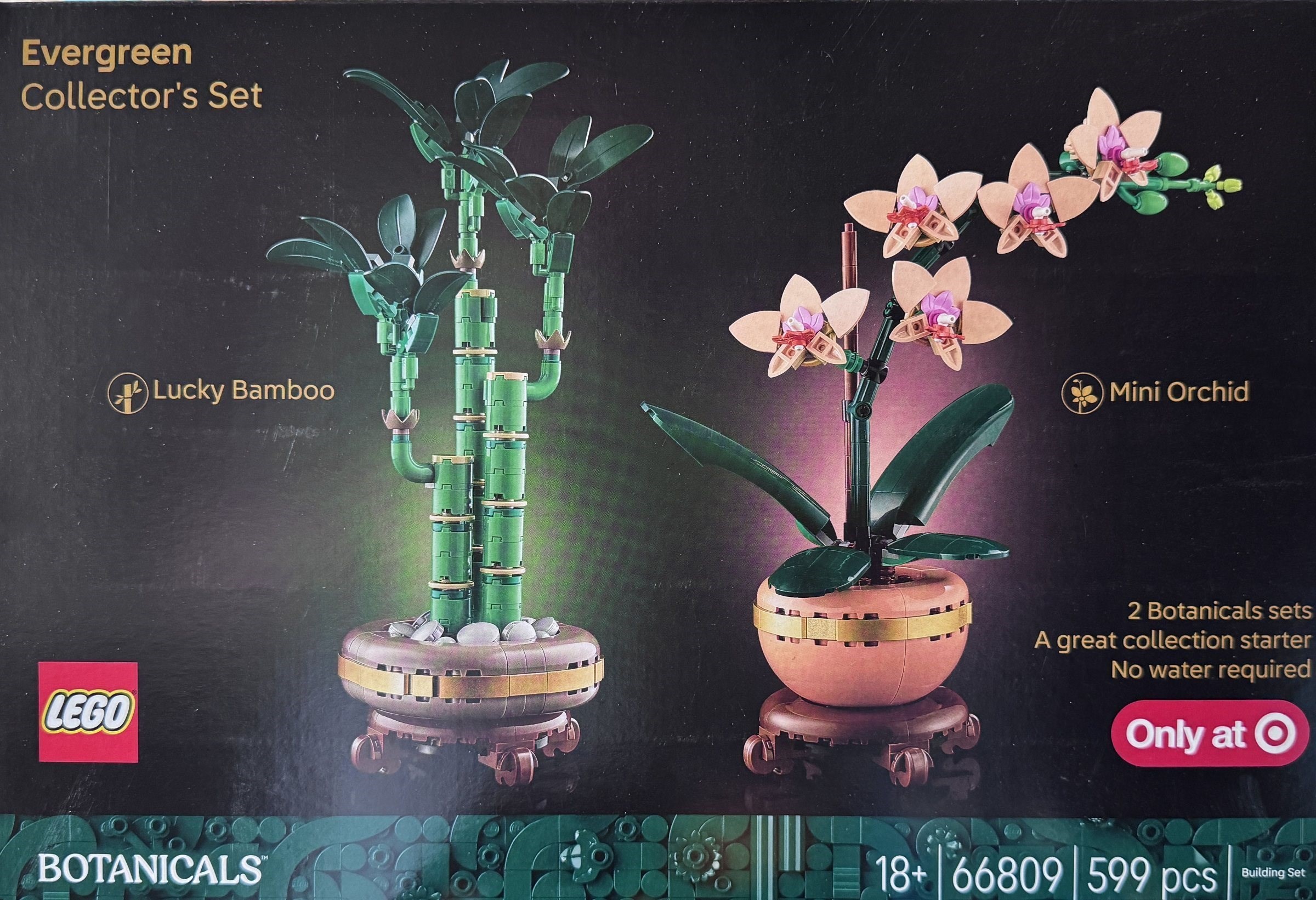 66809-1 - Botanicals Bundle Pack (Sets 10343 and 10344) - Evergreen Collector's Set