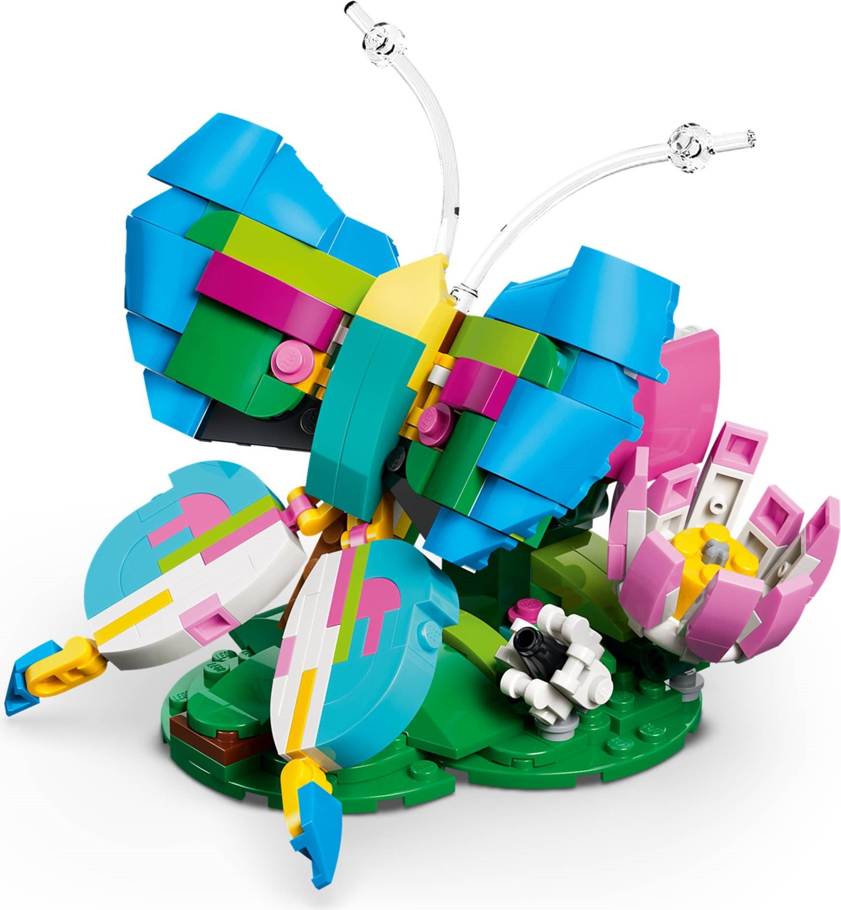 31384-1 - Colorful Hummingbird