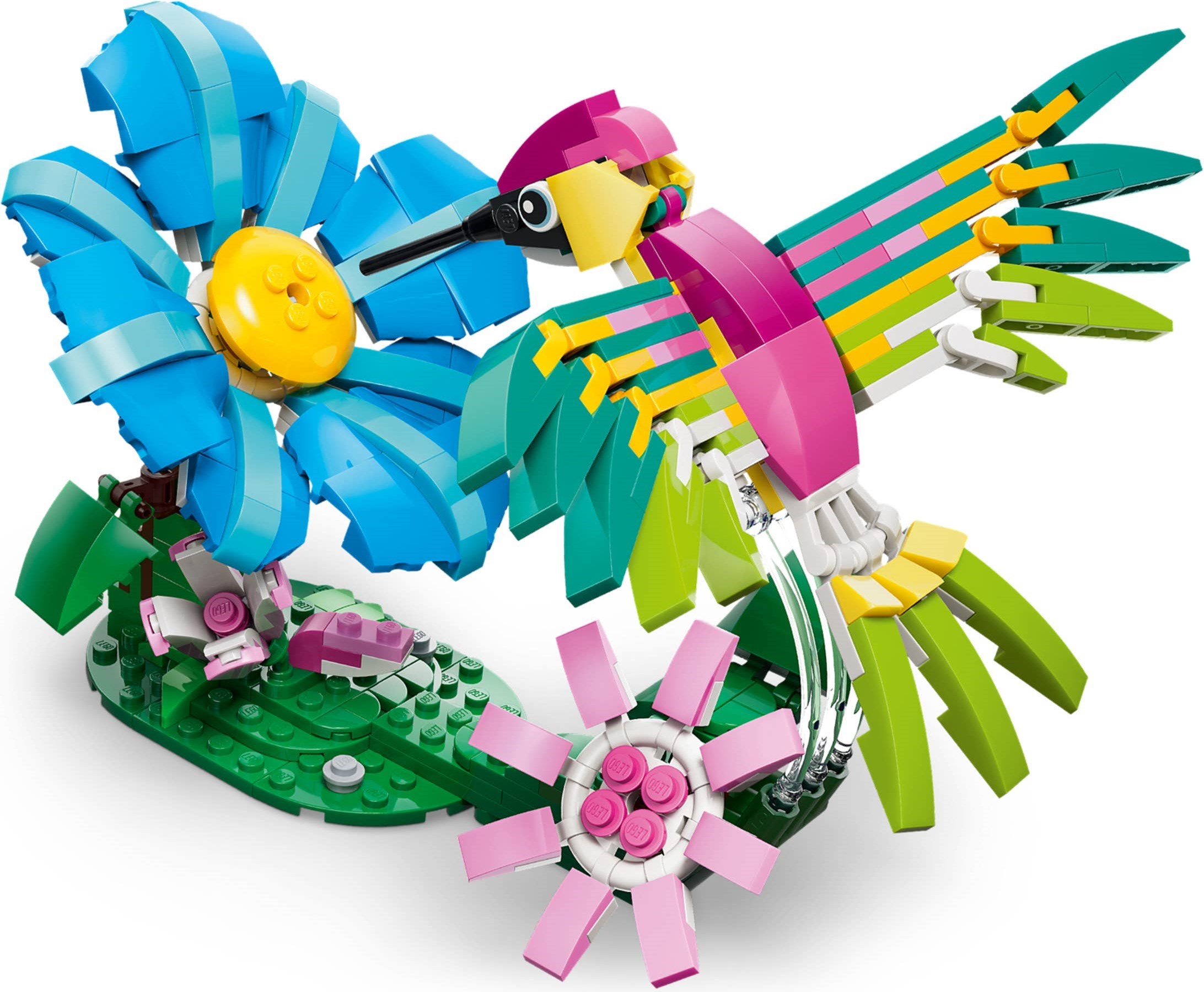 31384-1 - Colorful Hummingbird