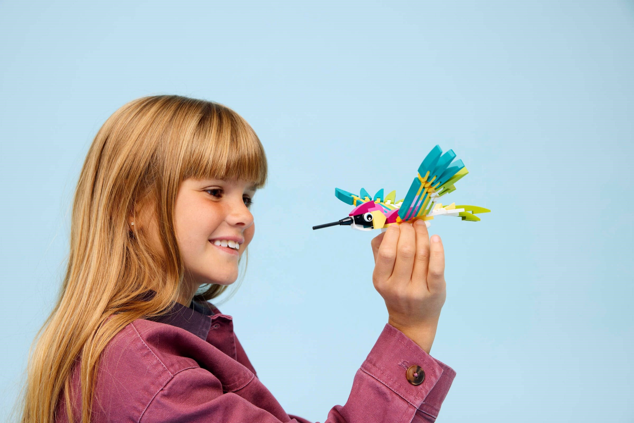 31384-1 - Colorful Hummingbird