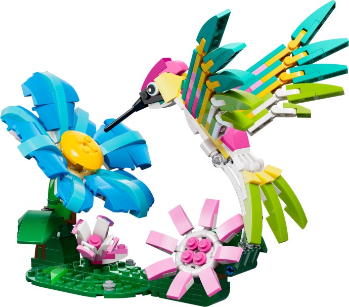 31384-1 - Colorful Hummingbird