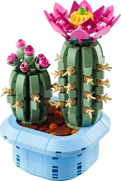 Brand new factory sealed LEGO Botanicals Flowering Cactus set 11509 original box front view.