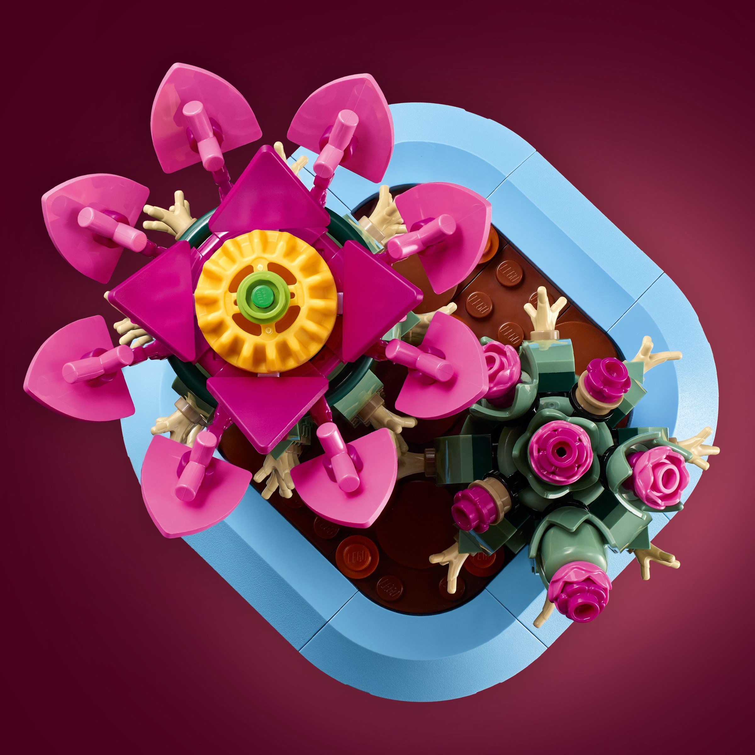 Additional photo of brand new factory sealed LEGO Botanicals Flowering Cactus set 11509.