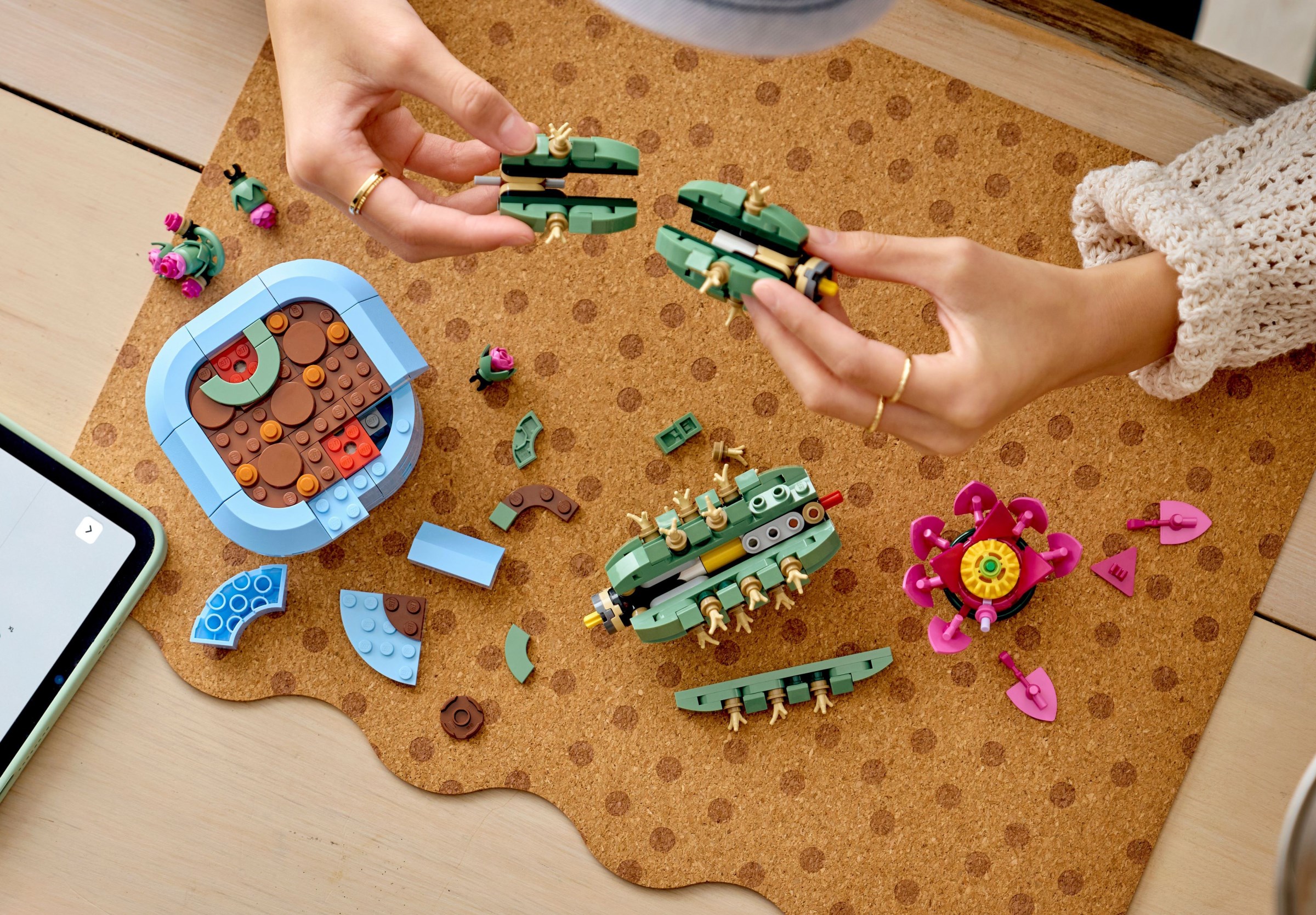 Additional photo of brand new factory sealed LEGO Botanicals Flowering Cactus set 11509.