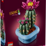 Additional photo of brand new factory sealed LEGO Botanicals Flowering Cactus set 11509.