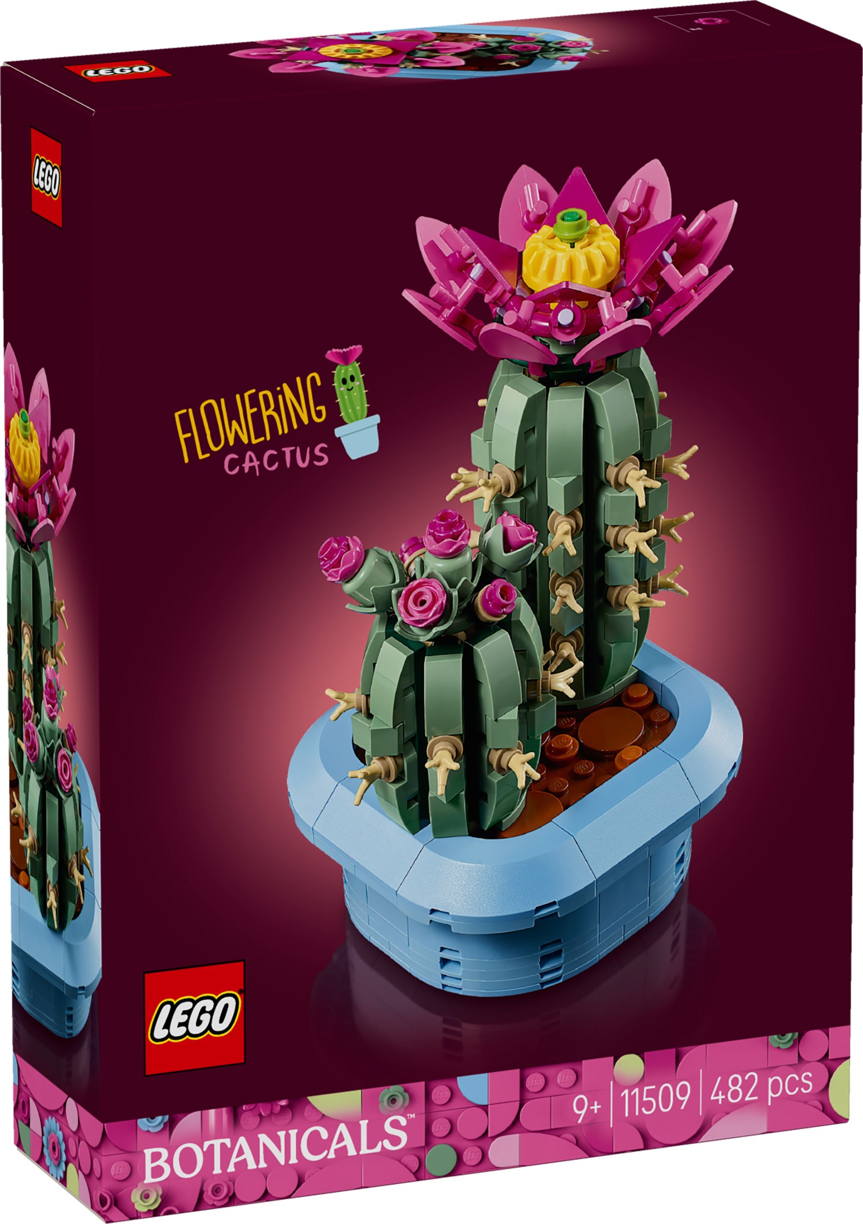 Brand New LEGO Botanicals 11509 Flowering Cactus Set Photo Additional photo of brand new factory sealed LEGO Botanicals Flowering Cactus set 11509.