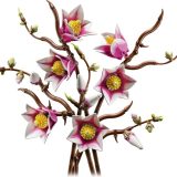 Brand new factory sealed LEGO Botanicals Magnolia Branches set 11510 original box front view.