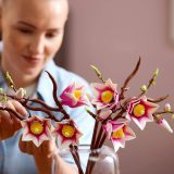 Additional photo of brand new factory sealed LEGO Botanicals Magnolia Branches set 11510.