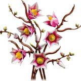 Additional photo of brand new factory sealed LEGO Botanicals Magnolia Branches set 11510.