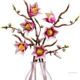 Additional photo of brand new factory sealed LEGO Botanicals Magnolia Branches set 11510.