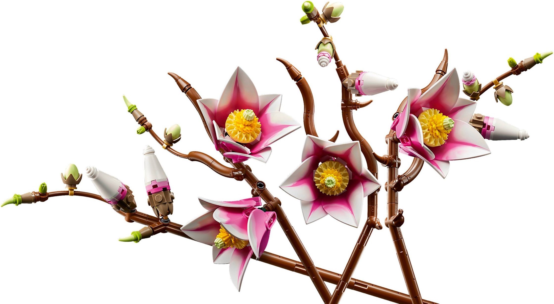 Additional photo of brand new factory sealed LEGO Botanicals Magnolia Branches set 11510.