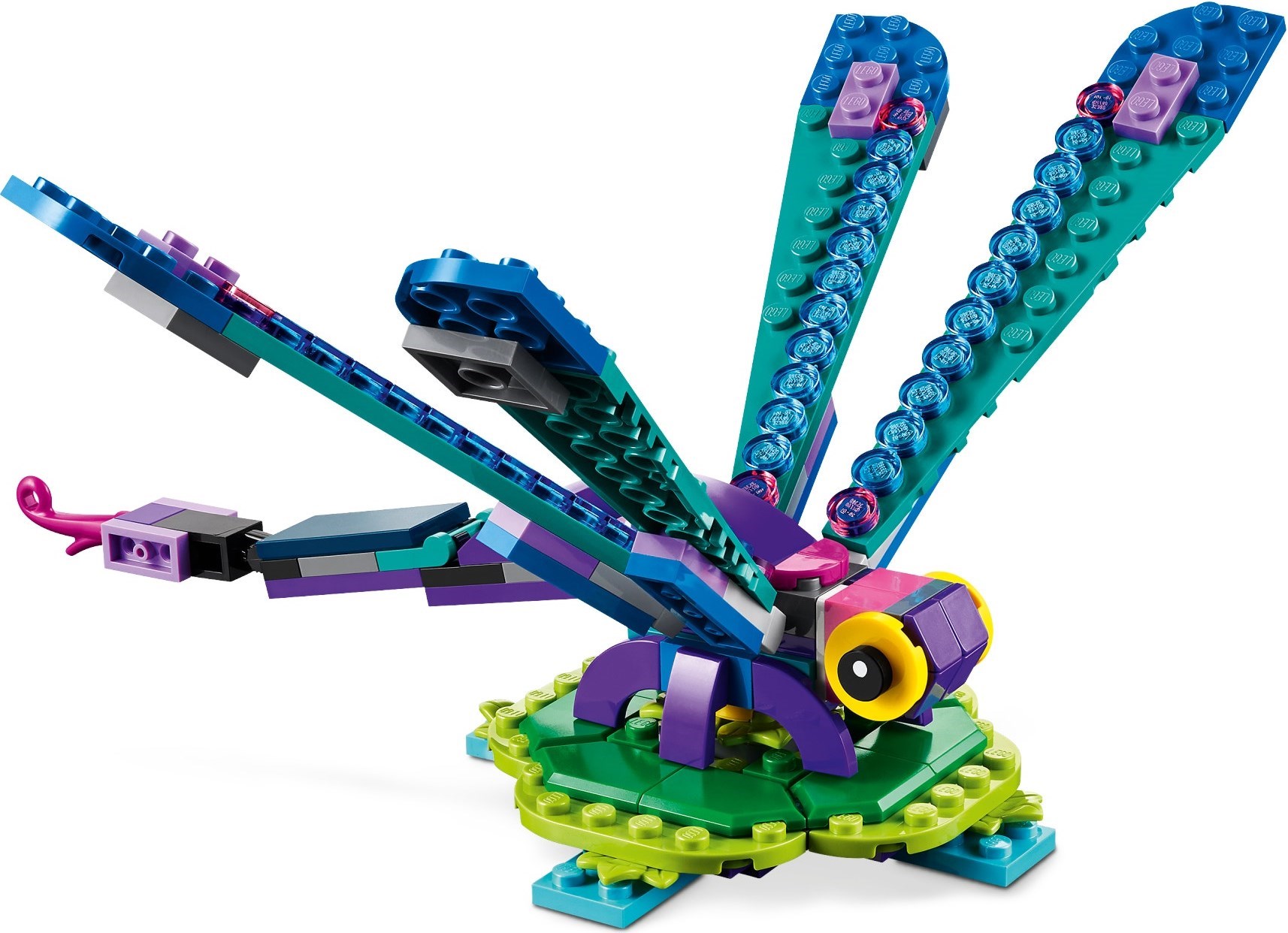 31157-1 - Exotic Peacock