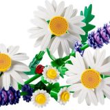Brand new factory sealed LEGO Botanicals Daisies set 11508 original box front view.