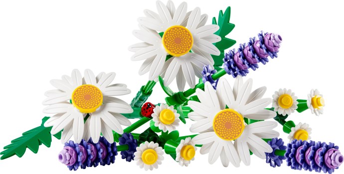 Brand new factory sealed LEGO Botanicals Daisies set 11508 original box front view.
