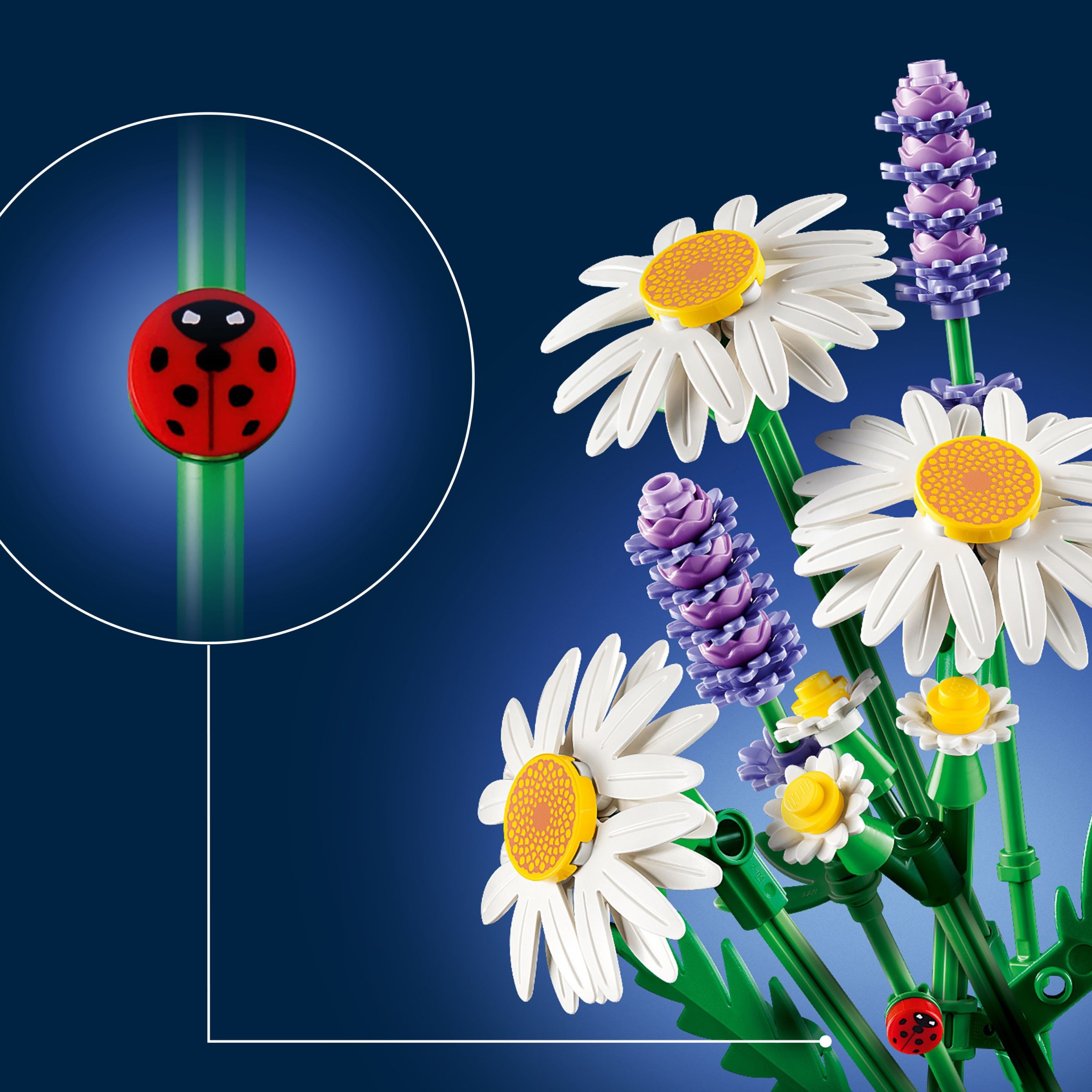 Additional photo of brand new factory sealed LEGO Botanicals Daisies set 11508.