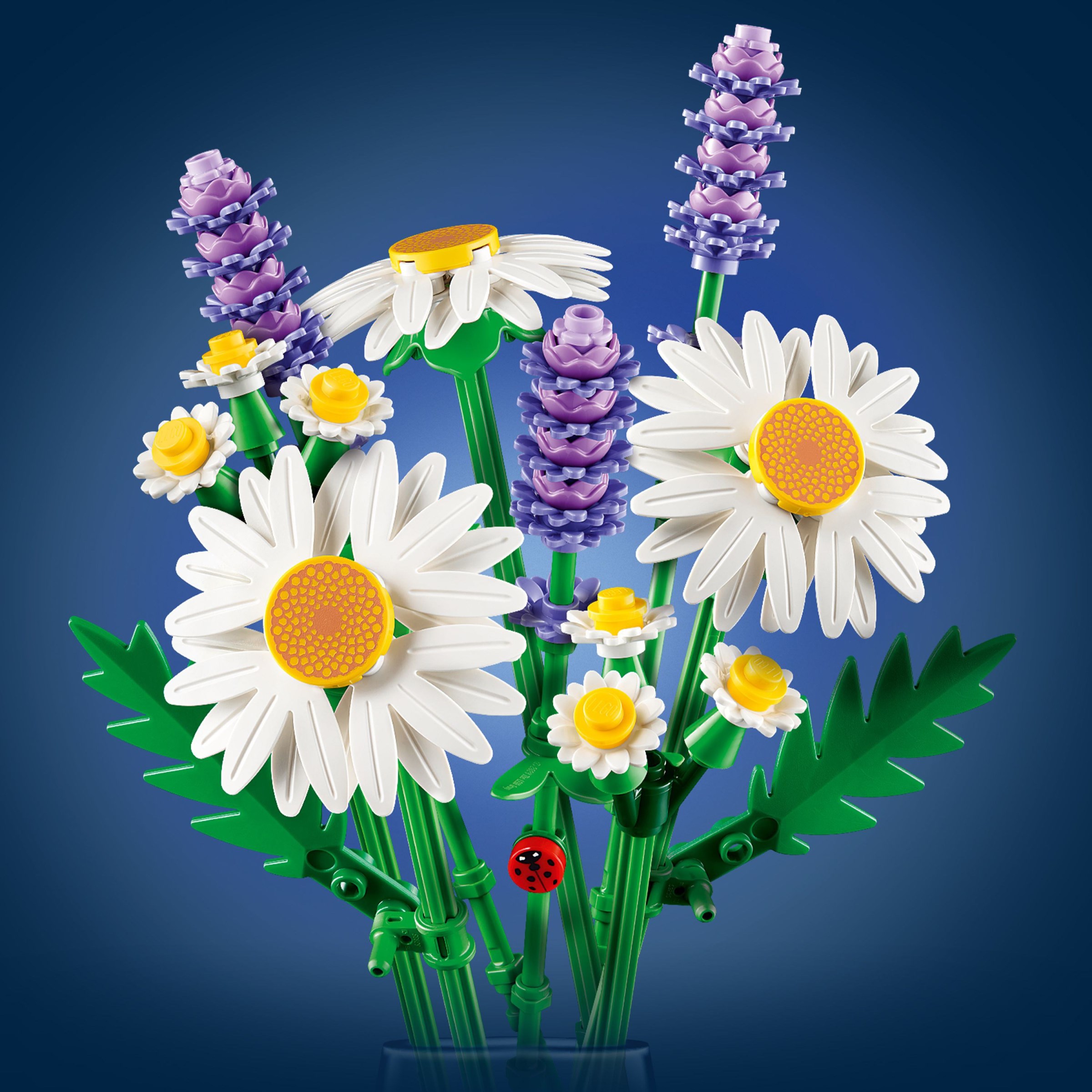 Additional photo of brand new factory sealed LEGO Botanicals Daisies set 11508.