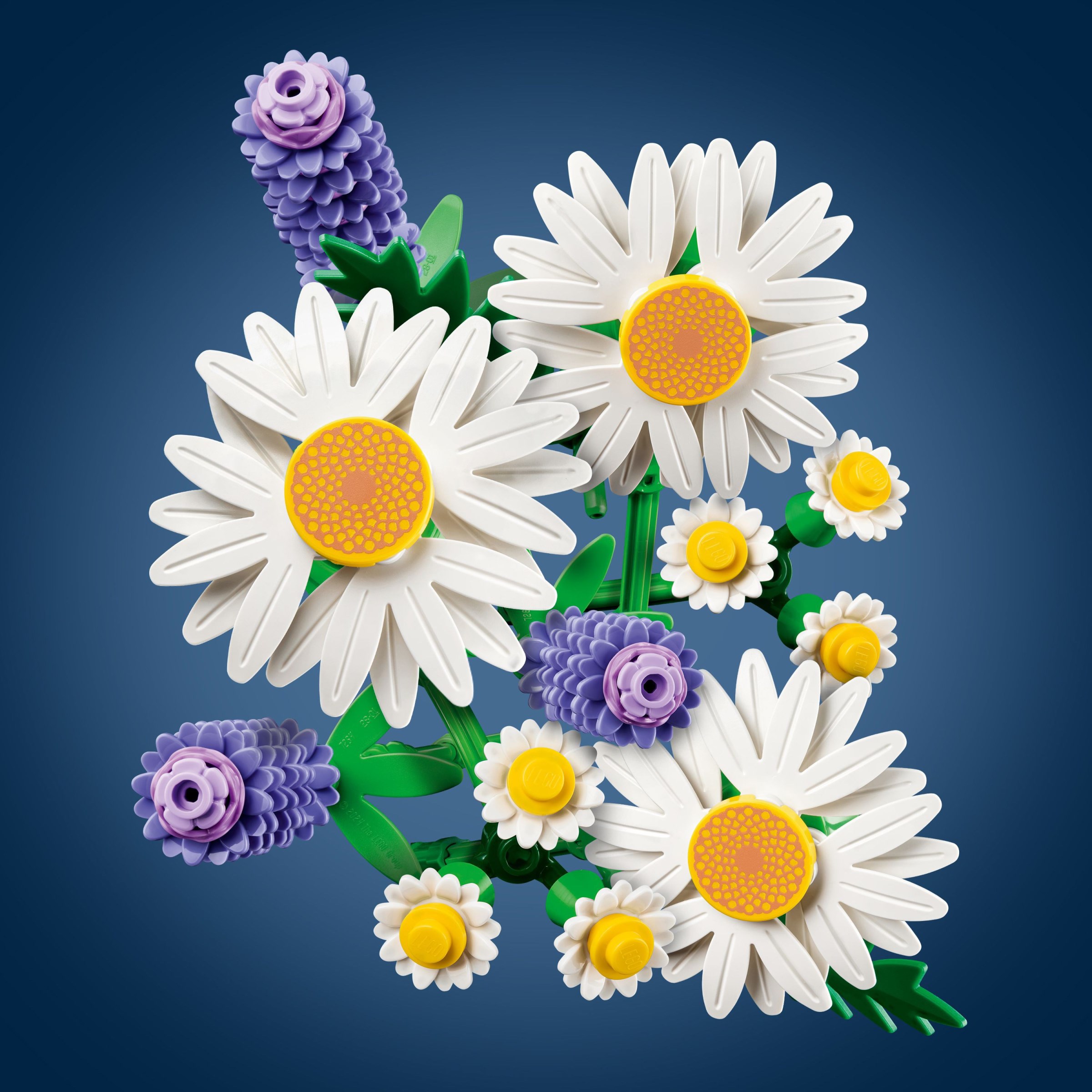 Additional photo of brand new factory sealed LEGO Botanicals Daisies set 11508.